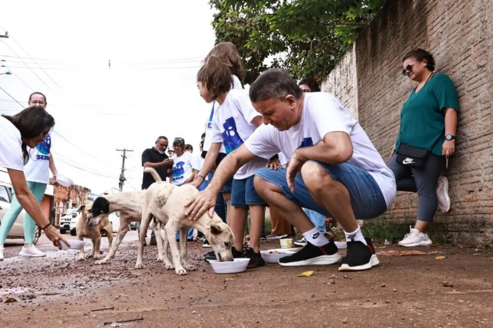 Ação contou com apoio de servidores municipais e voluntários - Foto: Edu Fortes