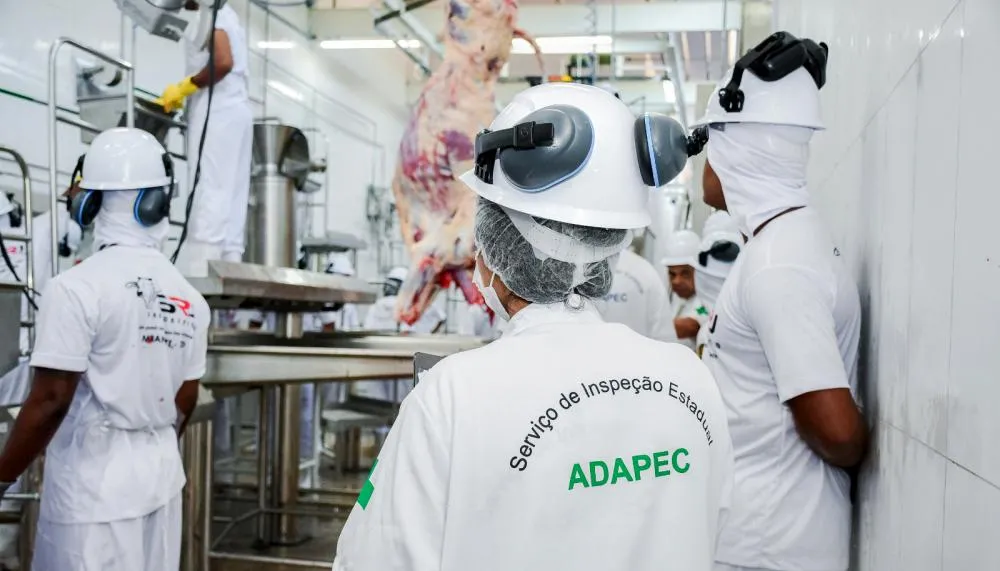 Frigorífico, após adesão ao Sisbi, vai dobrar a capacidade de abate de bovinos.