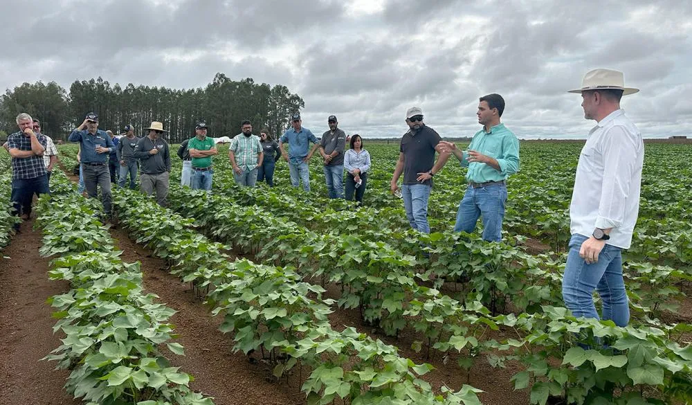 Caravana da Produção de Grãos encerra nesta quinta-feira, 27, no município de Miracema do Tocantins, região central do estado.