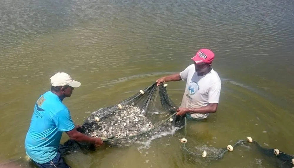 Projeto beneficiará diretamente 32 famílias de pescadores, proporcionando mais segurança alimentar e novas fontes de renda, além de fortalecer a economia local com a geração de empregos e novos investimentos no setor aquícola.