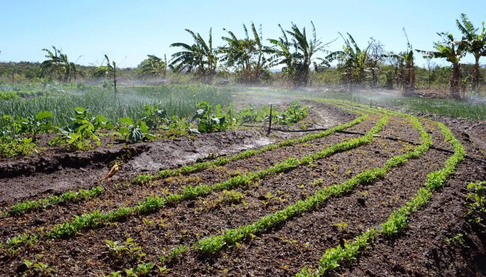  O Projeto de Irrigação São João teve início em 2001 e compreende a implantação de infraestrutura de irrigação para produção de hortigranjeiros e frutas.