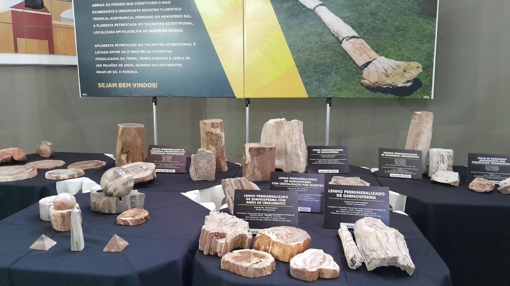 Exposição ficará aberta ao Público até esta quinta-feira 21 durante todo o dia, Foto-Javan Quixabeira 
