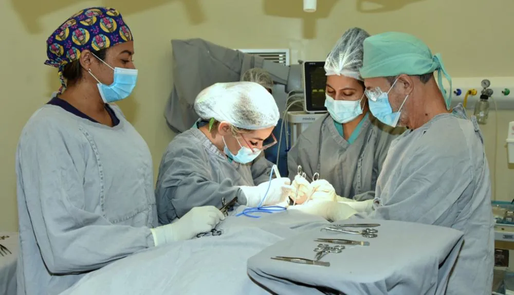 Cirurgias ocorrem em hospitais estaduais, municipais e contratadas na rede privada.