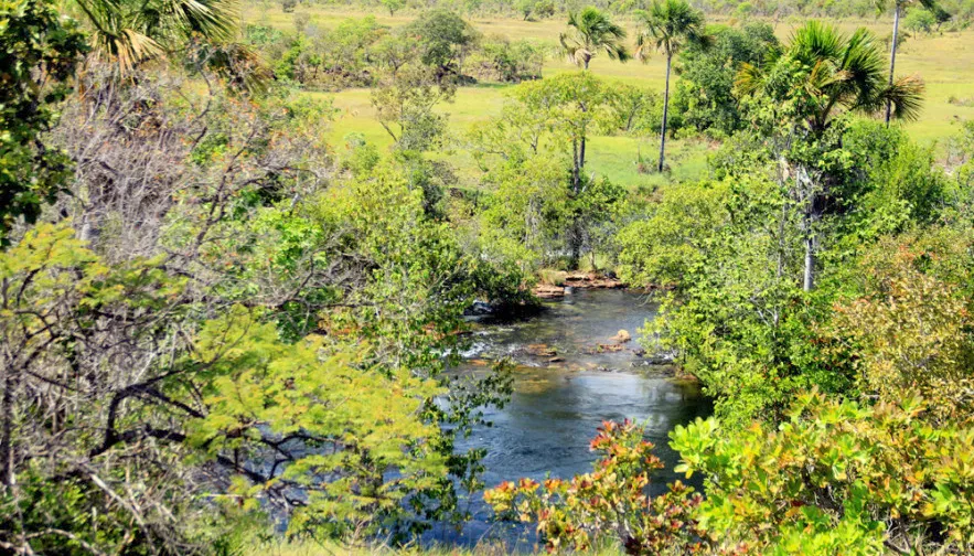 Dados são disponibilizados pelo Centro de Inteligência Geográficas em Gestão do Meio Ambiente.