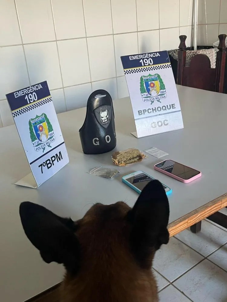 O cão de faro “Sniper” para localizar outros ilícitos no local.