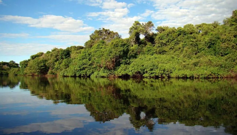 Revisão do Plano de Manejo da APA Ilha do Bananal/Cantão é um marco significativo para a preservação ambiental e o desenvolvimento sustentável da região.