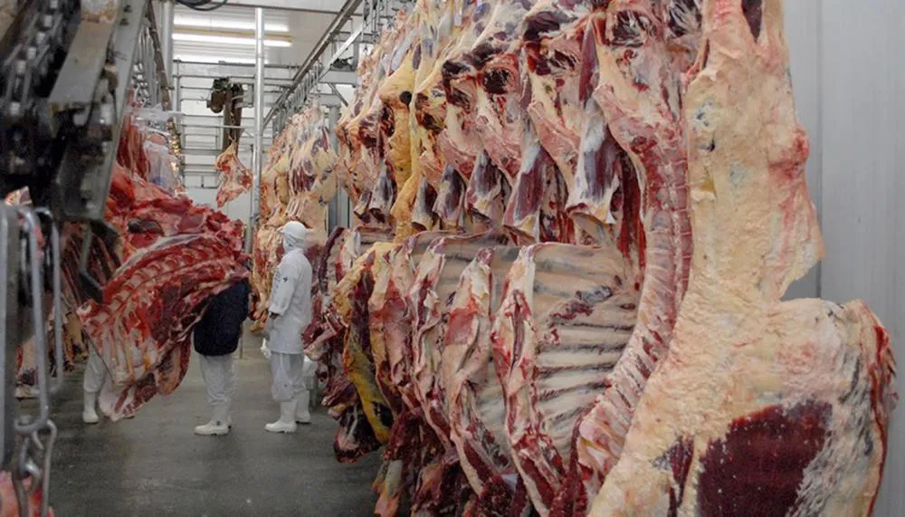 Evento visa incentivar os municípios a aderir aos sistemas sanitários, possibilitando os pequenos produtores a expandir a comercialização de produtos de origem animal como carne.